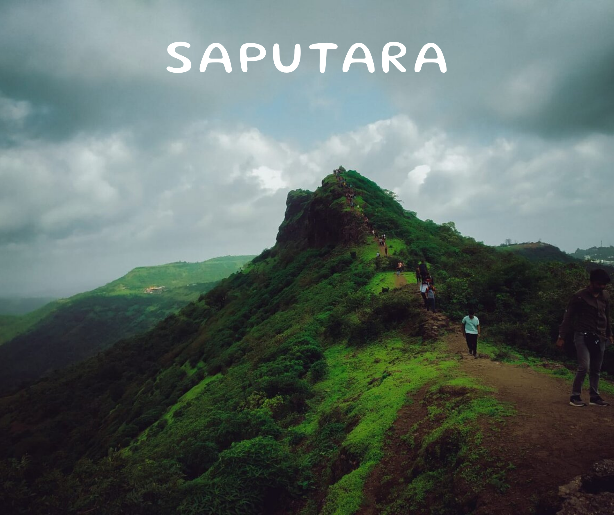 SAPUTARA